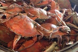 J. Millard Tawes Crab & Clam Bake