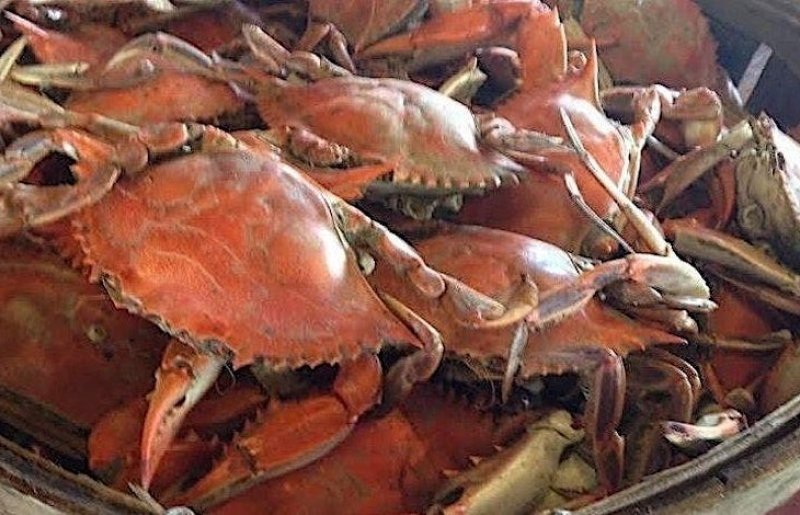 J. Millard Tawes Crab & Clam Bake