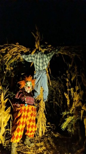 Butler's Farm Market Annual Haunted Trail