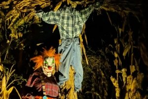 Butler's Farm Market Annual Haunted Trail
