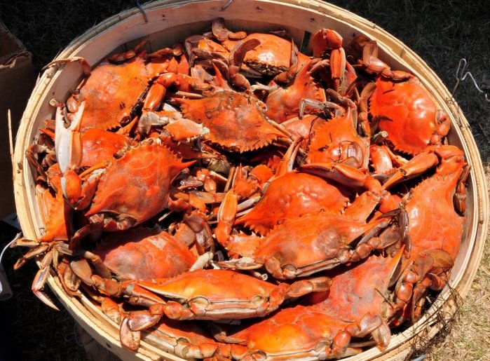 J. Millard Tawes Crab and Clam Bake