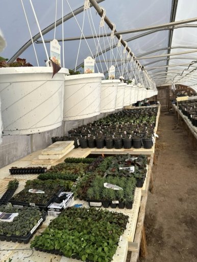 Butler's Farm Market Vendor Event