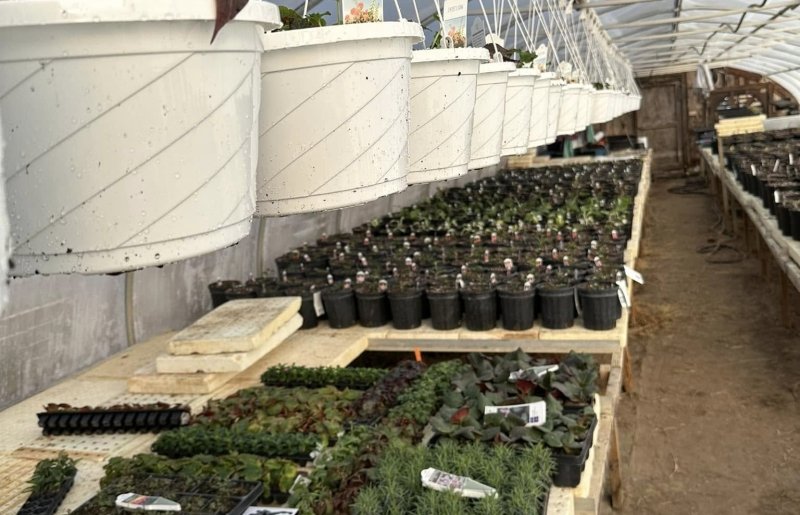 Butler's Farm Market Vendor Event