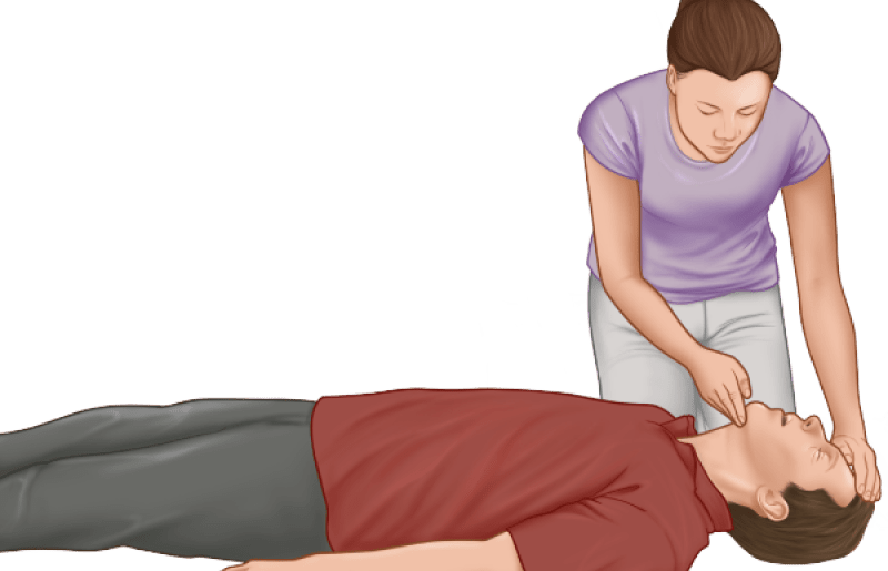 Basic Life Support for Healthcare Providers CPR Course