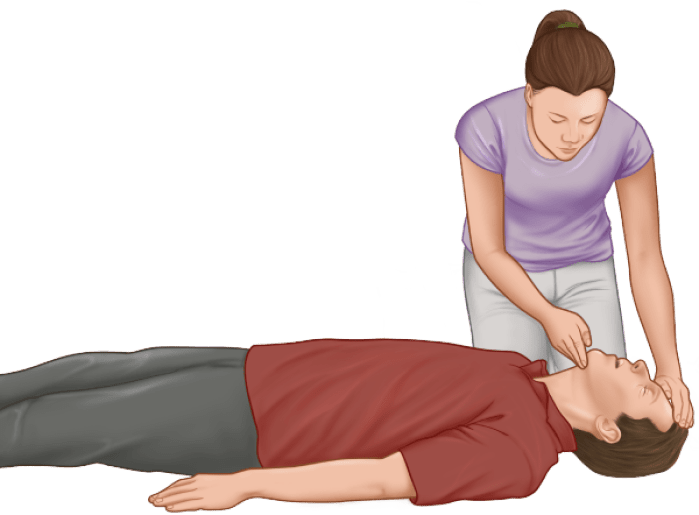 Heartsaver First Aid CPR and AED Course