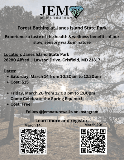 Forest Bathing at Janes Island State Park