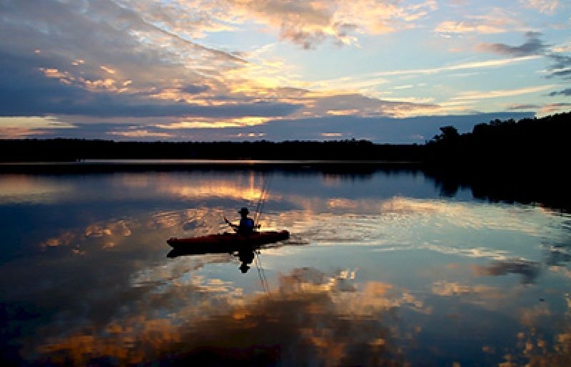 Paddlefest