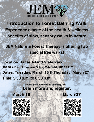 Introduction to Forest Bathing Walk