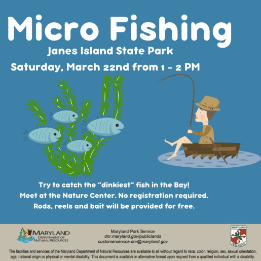 Micro Fishing at Janes Island State Park