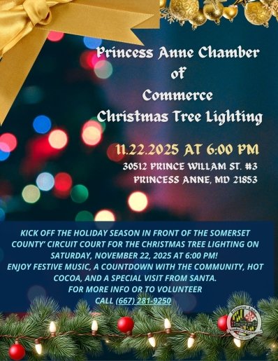 Princess Anne Christmas Tree Lighting