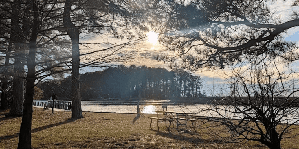 Spring Equinox Forest Bathing Walk