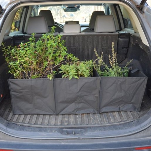 Pop-Up Plant Exchange