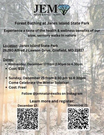 Forest Bathing at Janes Island