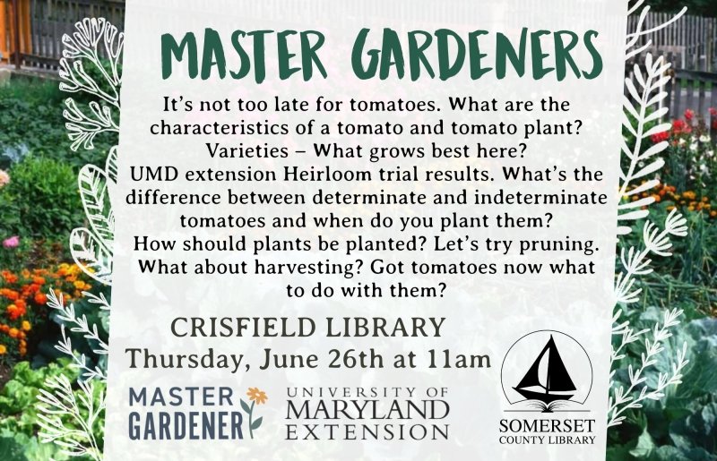 Master Gardener - Tomatoes