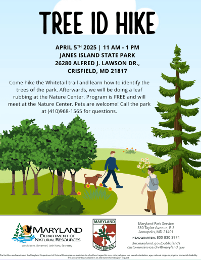Tree ID Hike at Janes Island State Park