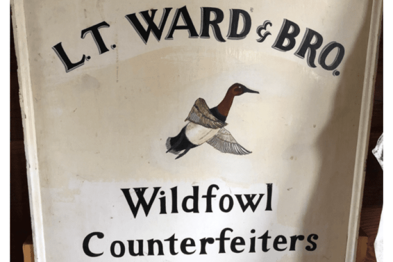 Ward Brothers Workshop Open Tour