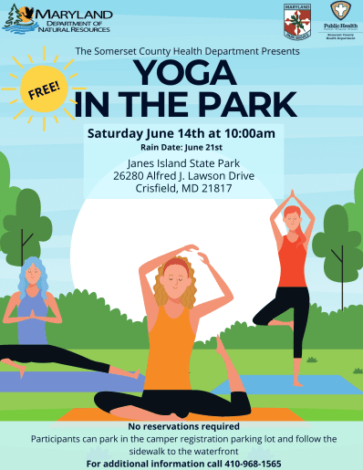 Yoga in the Park