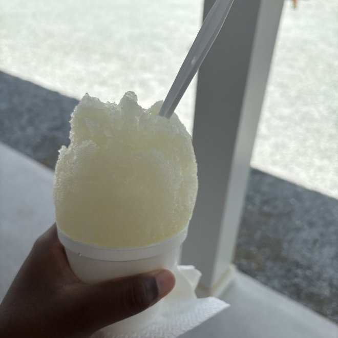 Sno Biz