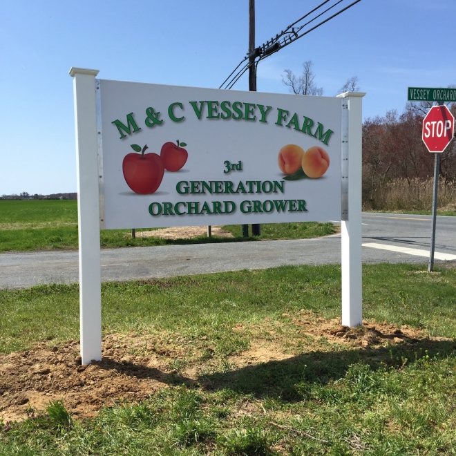 M & C Vessey Farm