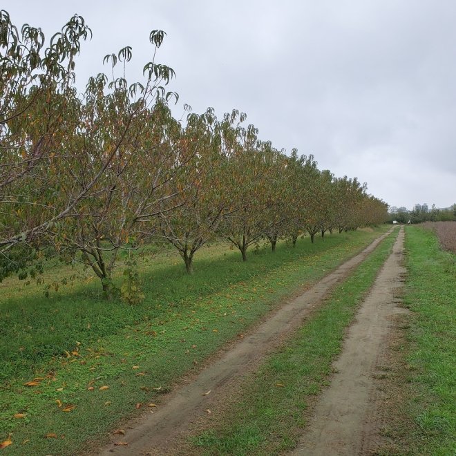 M & C Vessey Farm