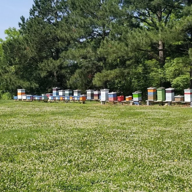 Victory Garden Apiary