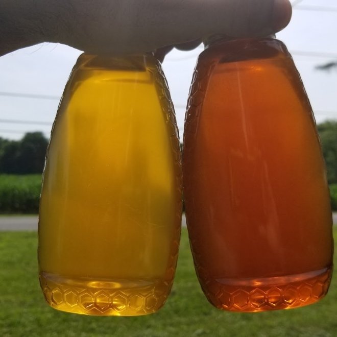 Victory Garden Apiary