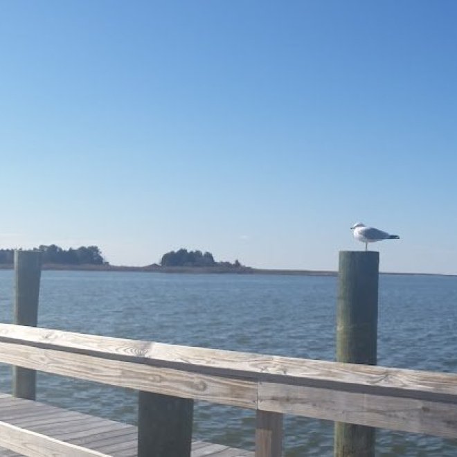 Metompkin Bay Oyster Co