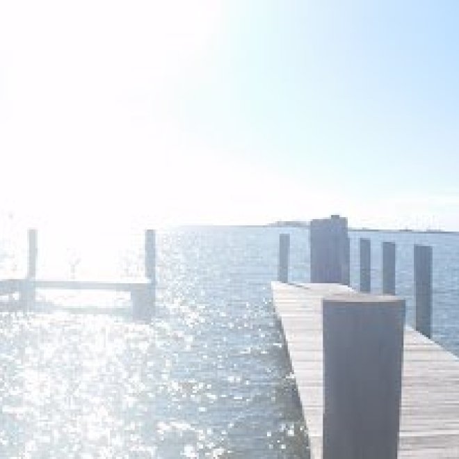 Metompkin Bay Oyster Co