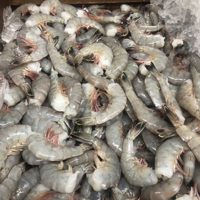Southern Connection Seafood
