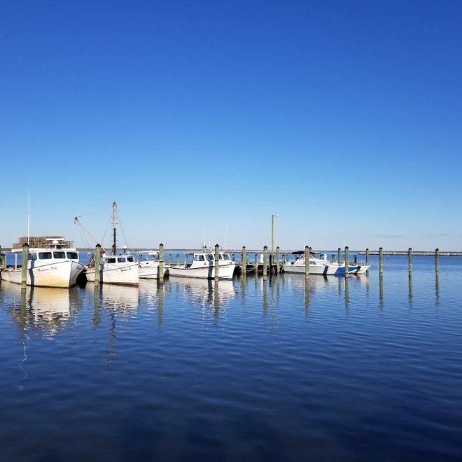 Arby's Dockside Bar and Grill