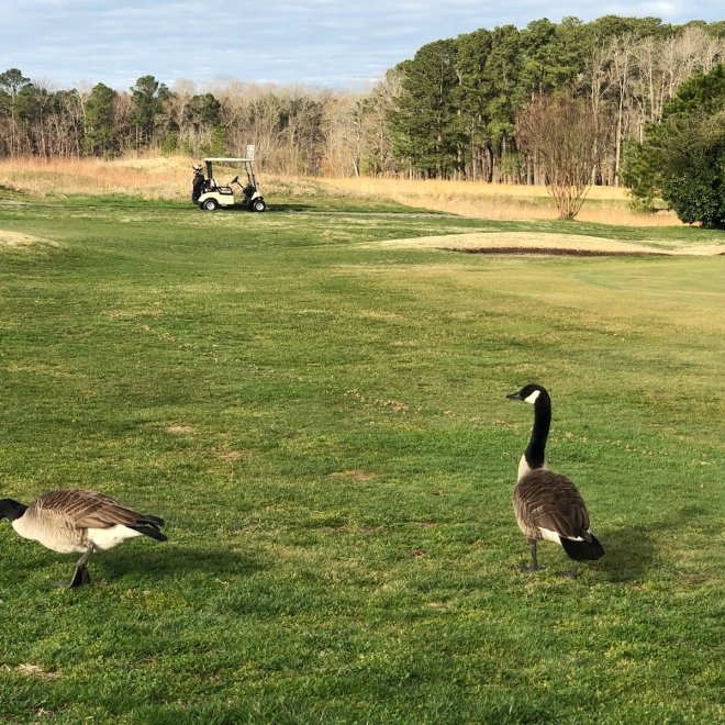 Caddy Shack at Great Hope Golf Course