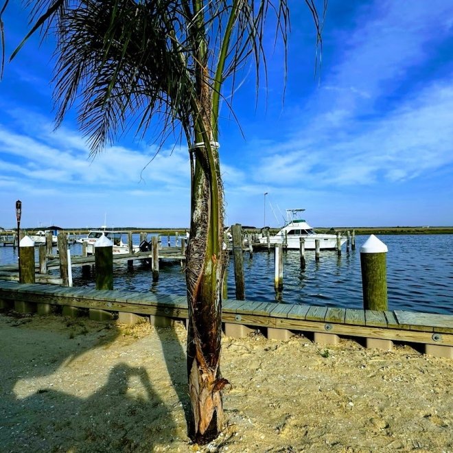 Goose Creek Pit & Pub