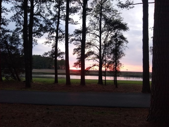 Build A Basket at Janes Island state Park