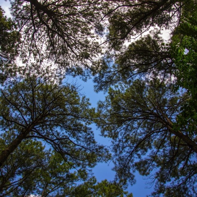 Janes Island State Park