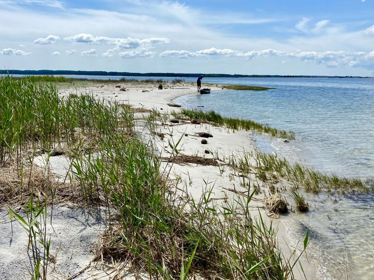 Escape to Serenity: Maryland's Janes Island State Park, A Hidden Gem