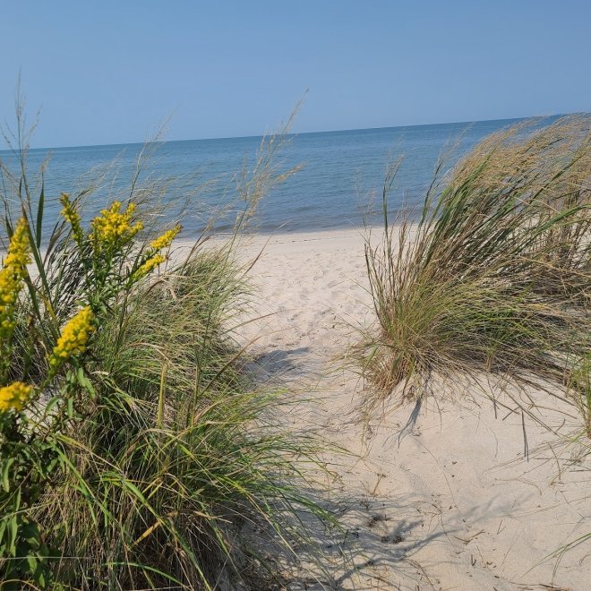 Janes Island State Park