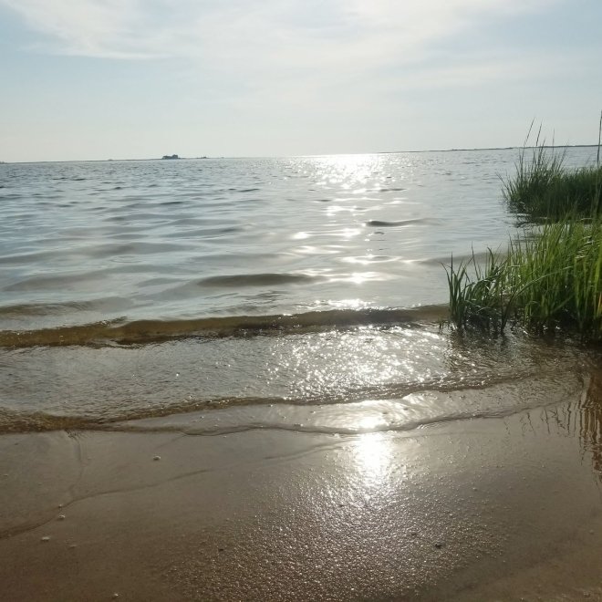 Raccoon Point Beach & Park