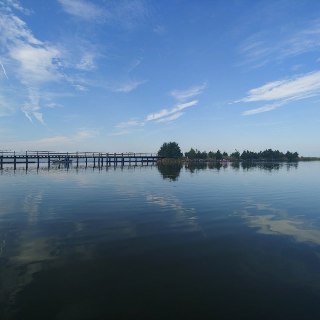 Deal Island State Wildlife Management Area