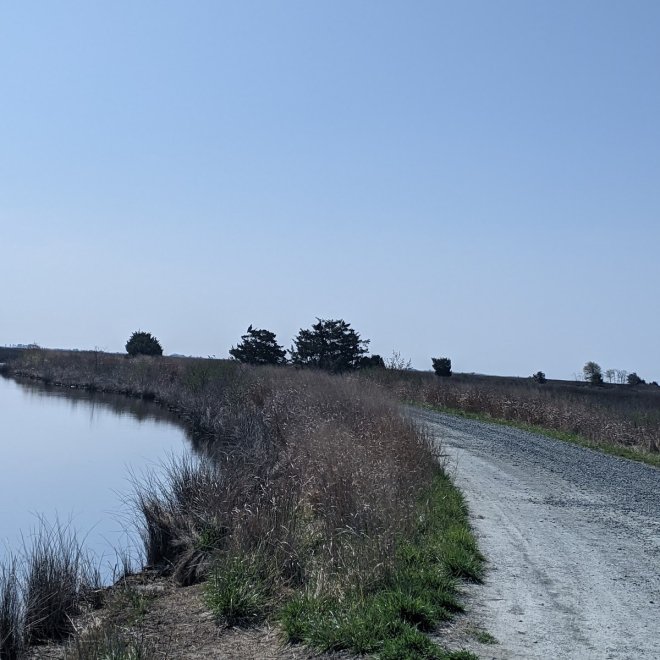 Deal Island State Wildlife Management Area