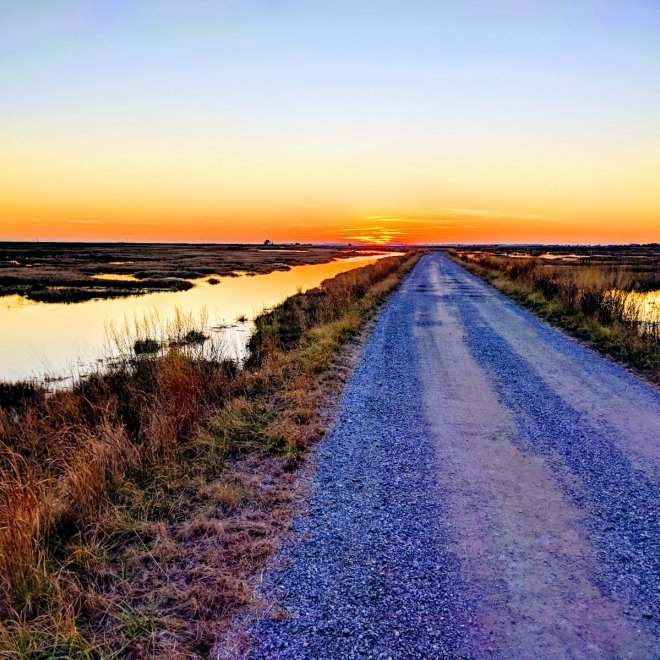 Deal Island State Wildlife Management Area