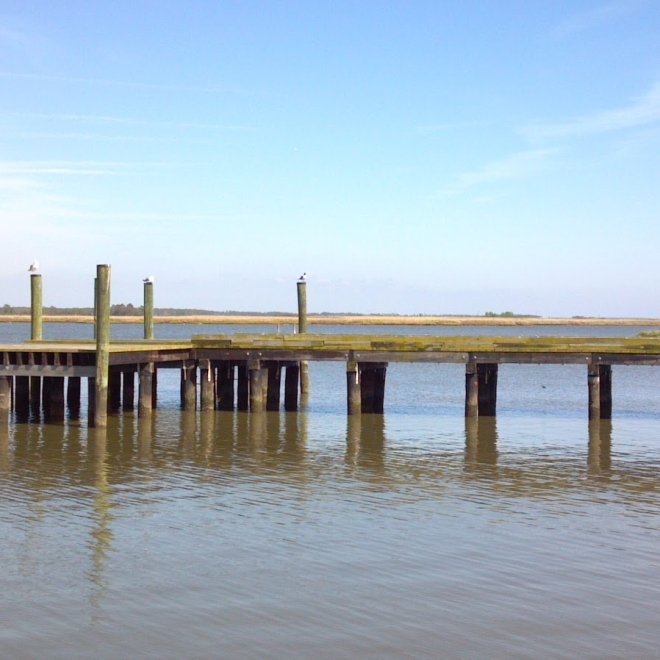 Deal Island State Wildlife Management Area