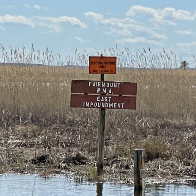 Fairmount Wildlife Management Area