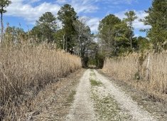 Fairmount Wildlife Management Area