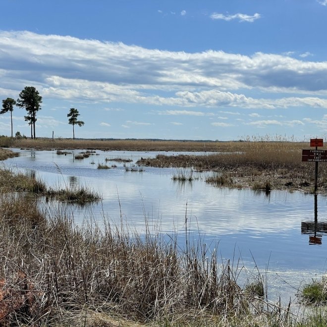 Fairmount Wildlife Management Area