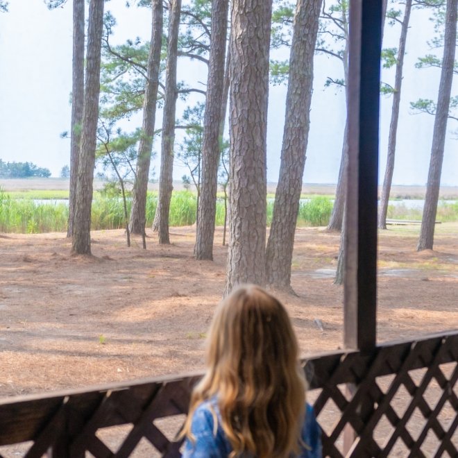 Janes Island State Park