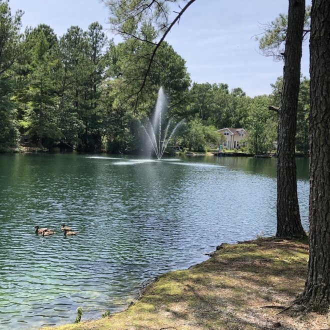 Lake Somerset Campground