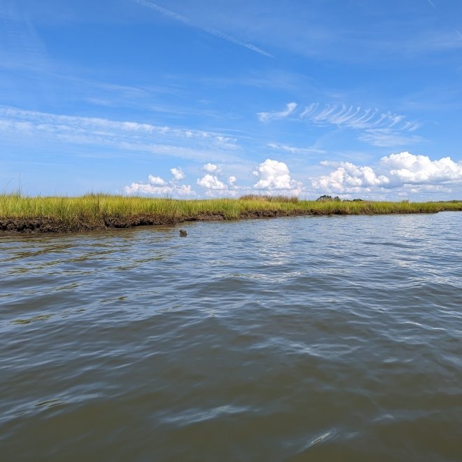 Janes Island State Park