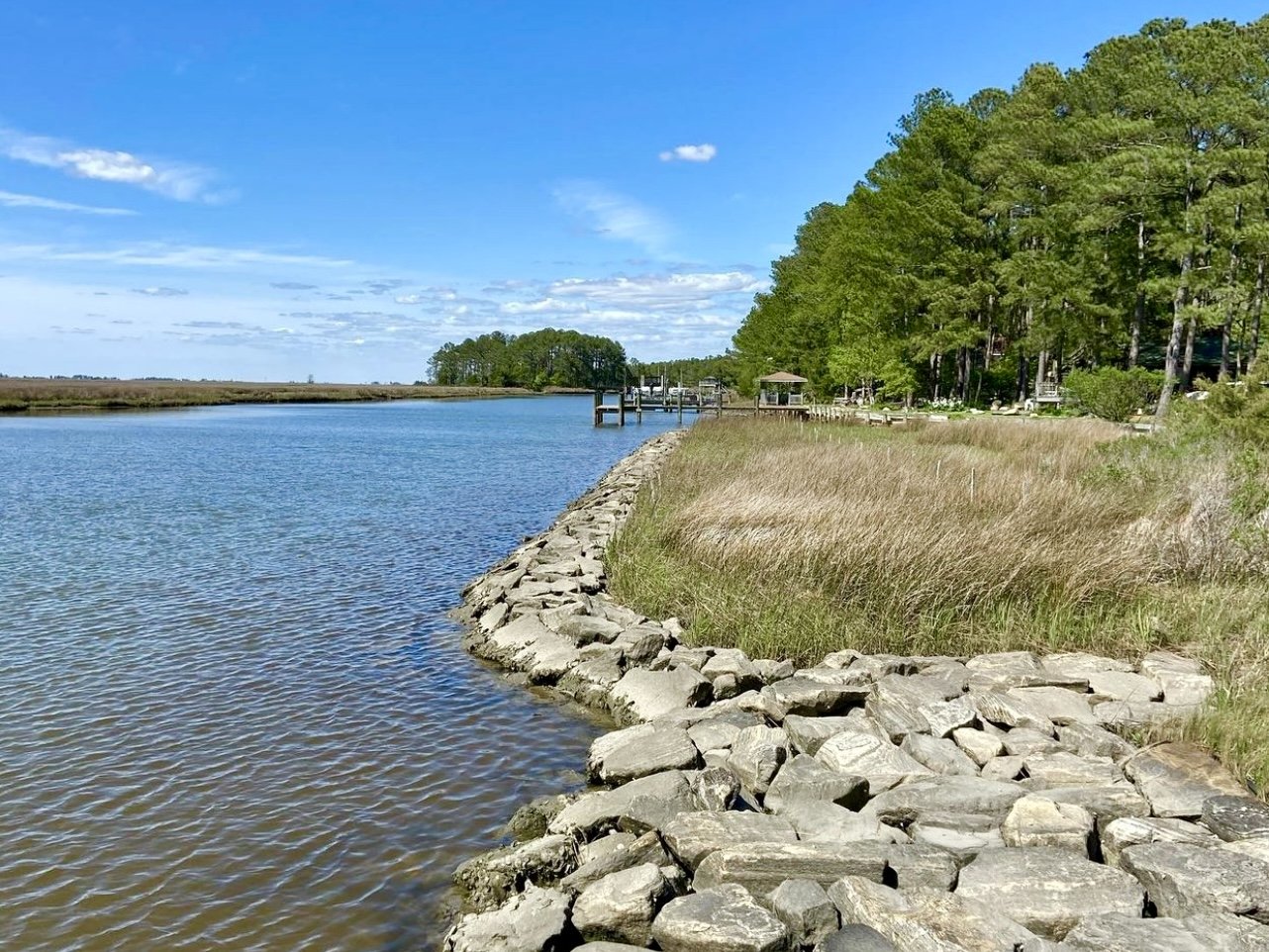 Escape to Serenity: Maryland's Janes Island State Park, A Hidden Gem