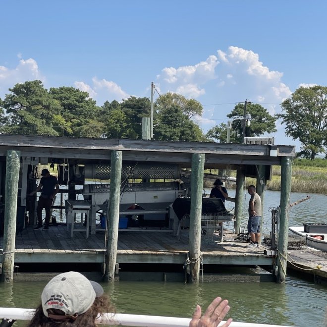 Smith Island Cruises