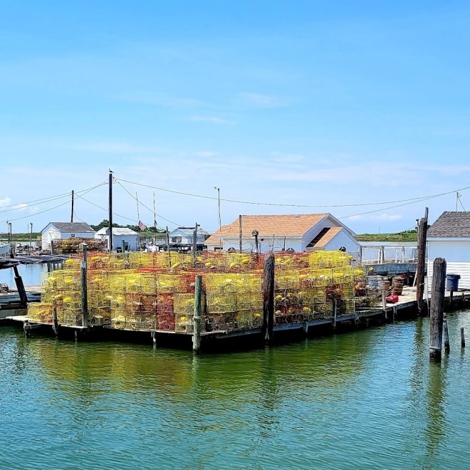 Tangier Island Cruises